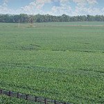 ncsu-rural-2016-11-16-1400x564